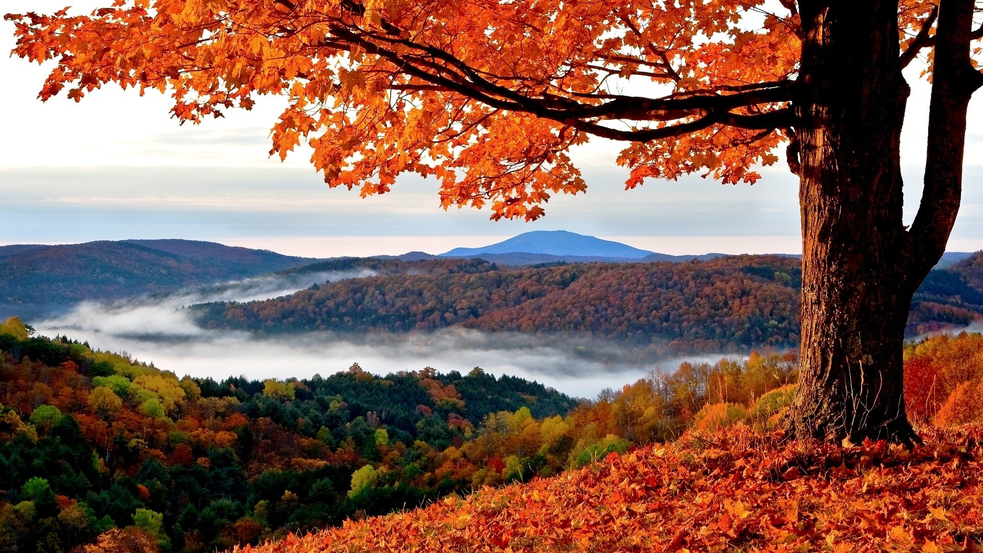 Hd autumn fall mountain scenery