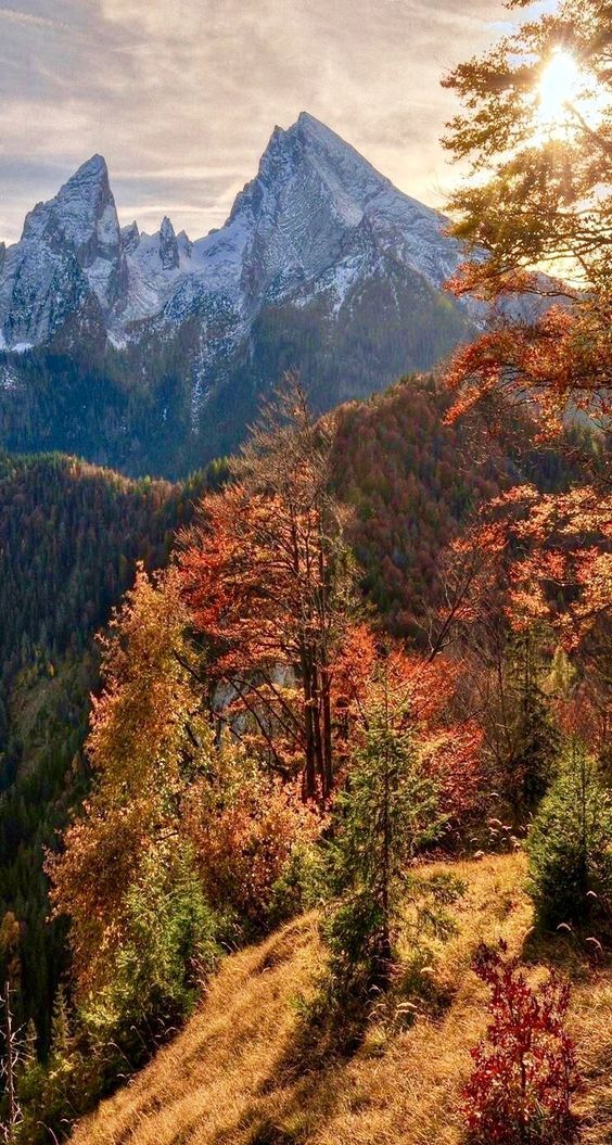 Nine favorite things autumn landscape landscape wallpaper autumn scenery