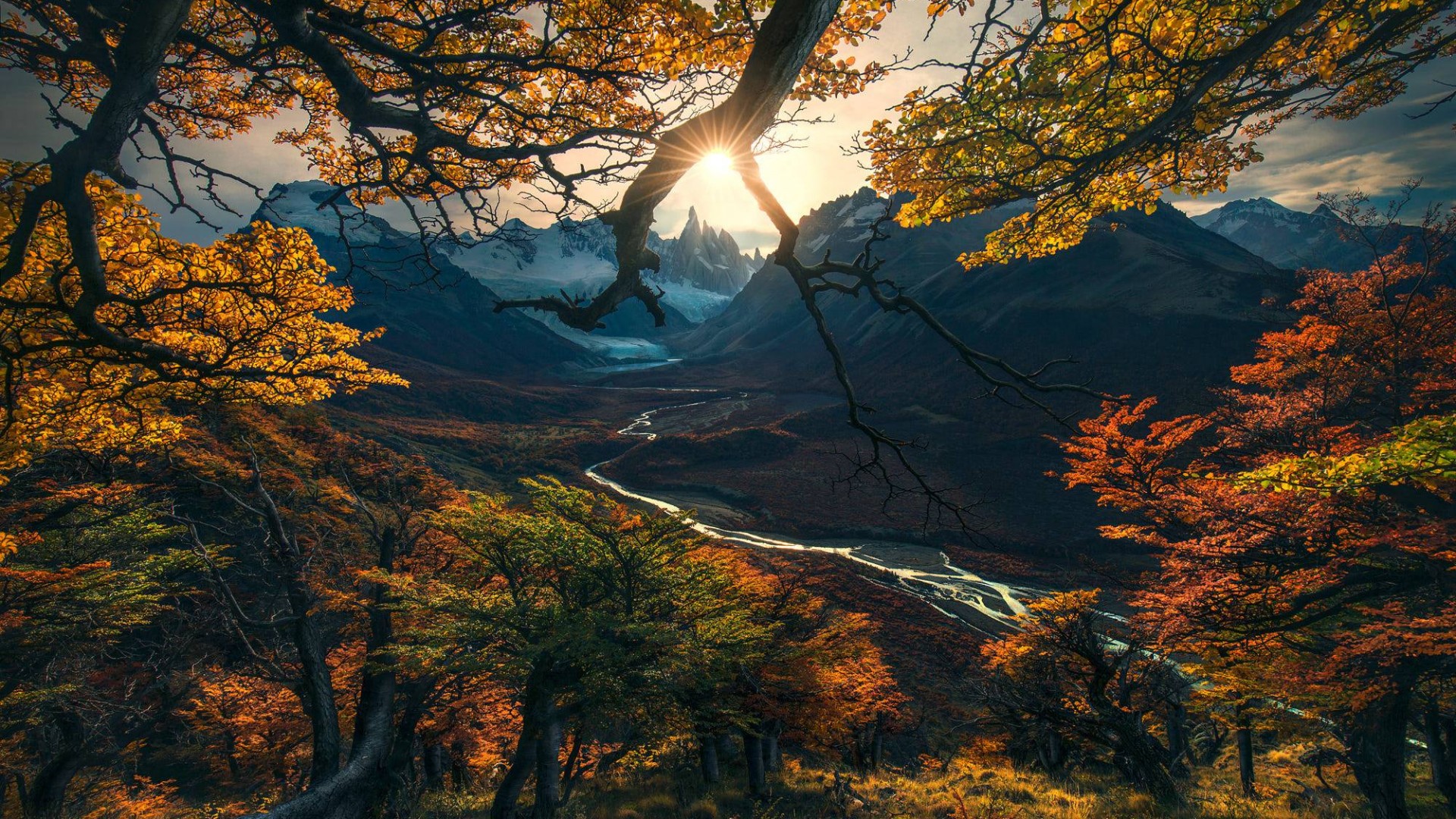 Wallpaper forest tree mountains autumn hd nature