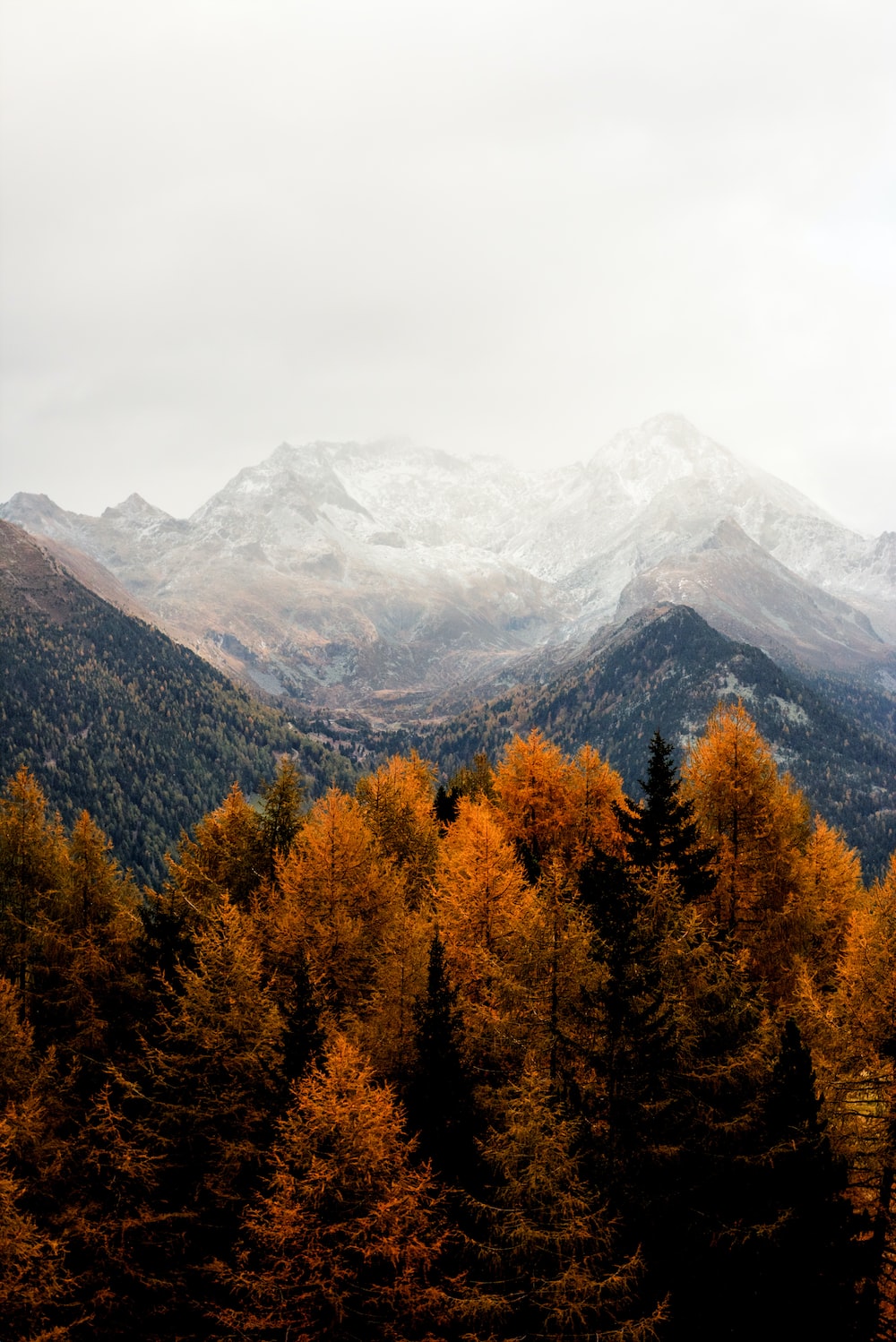 Autumn mountain pictures download free images on