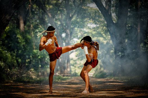 Muay thai pictures download free images on