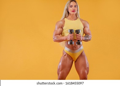 Female bodybuilder images stock photos vectors