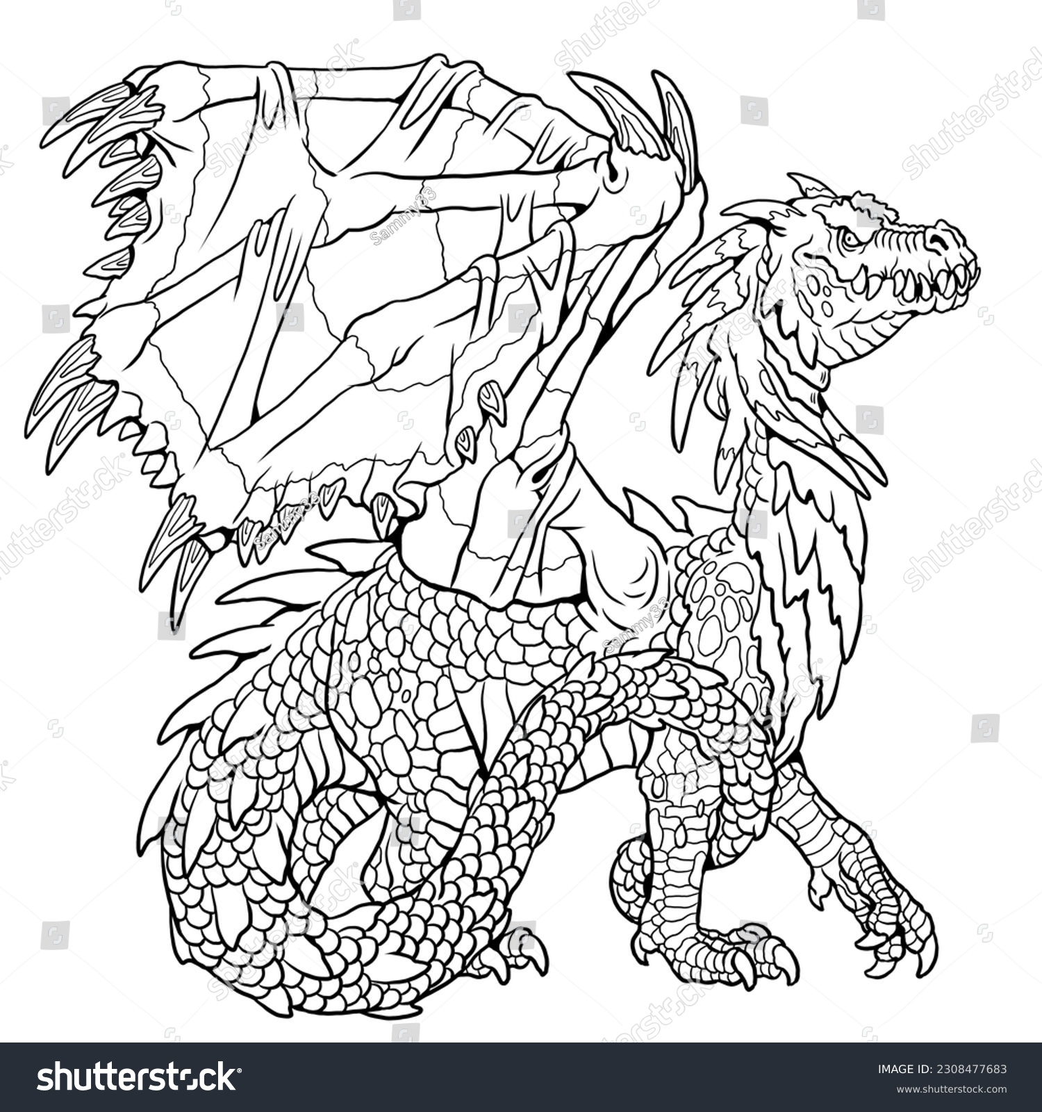 Dragon coloring page fantasy illustration mythical stock illustration