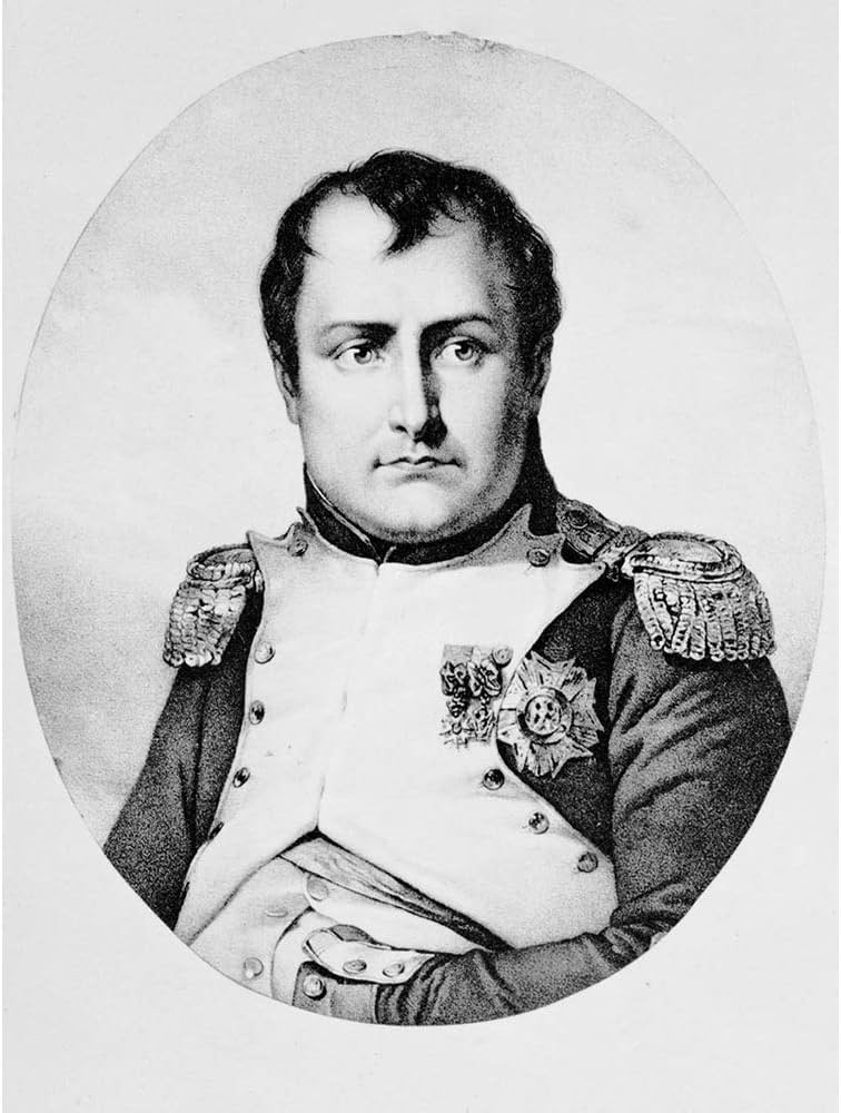Painting drawing portrait napoleon bonaparte french emperor hero france unframed wall art print poster home decor premium posters prints