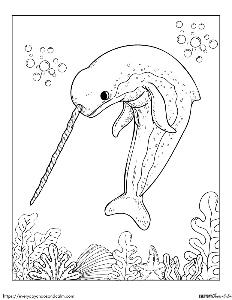 Free narwhal coloring pages for kids