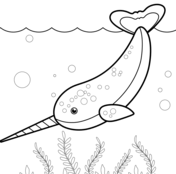 Narwhal coloring pages free coloring pages