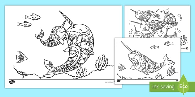 Cute narwhal colouring pages
