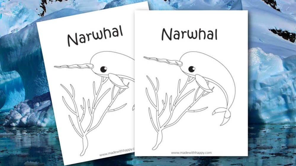 Free printable narwhal coloring page