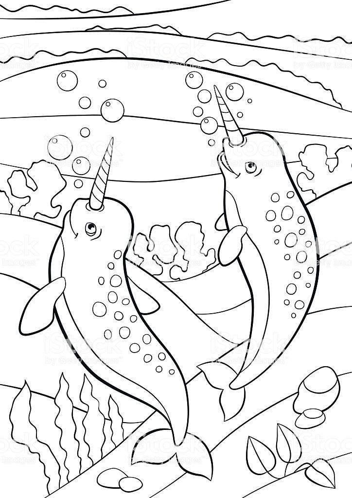 Coloring pages two little cute narwhals swim underwater and smile coloring pages cute coloring pages bird coloring pages