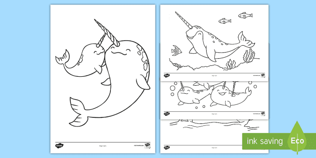 Narwhal colouring pages teacher made