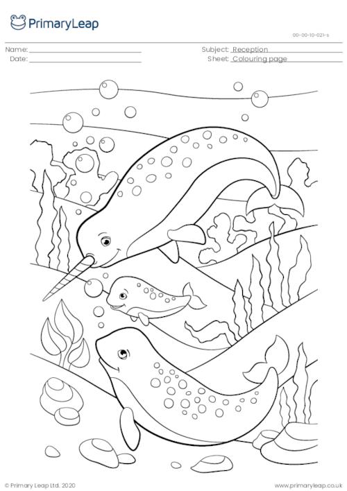 Art and craft louring page narwhal family worksheet