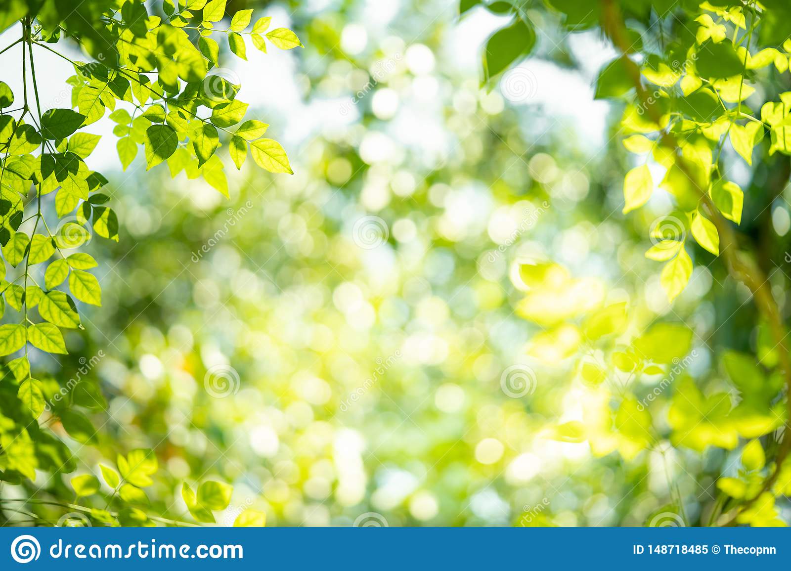Green nature background with beauty bokeh stock image
