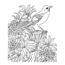 Printable nature coloring pages for your little ones