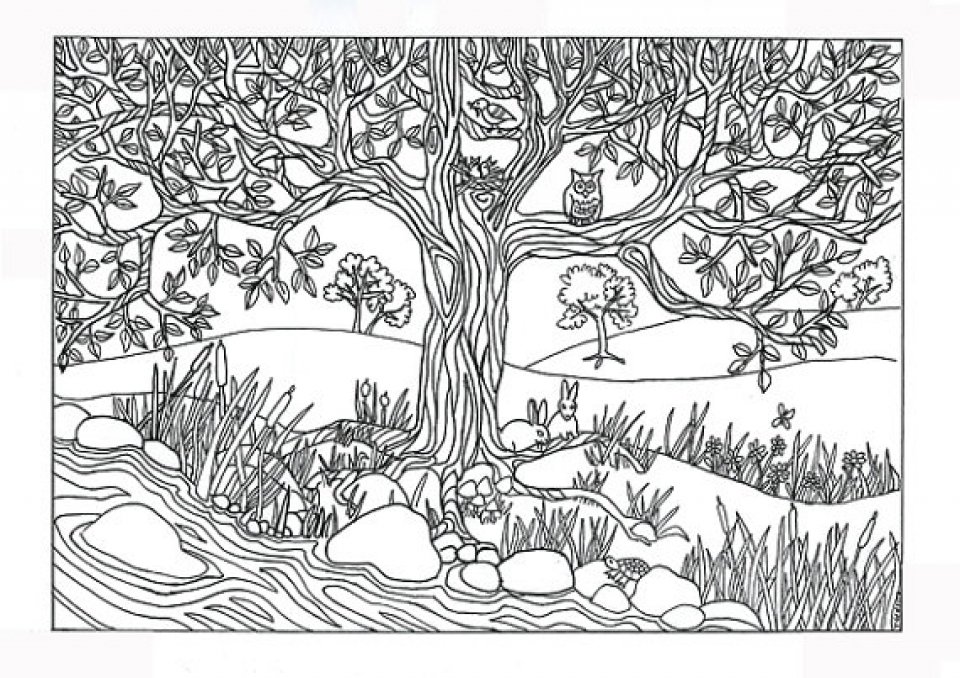 Get this preschool printables of nature coloring pages free bhca