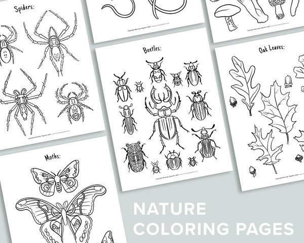 Nature coloring pages â mornings together