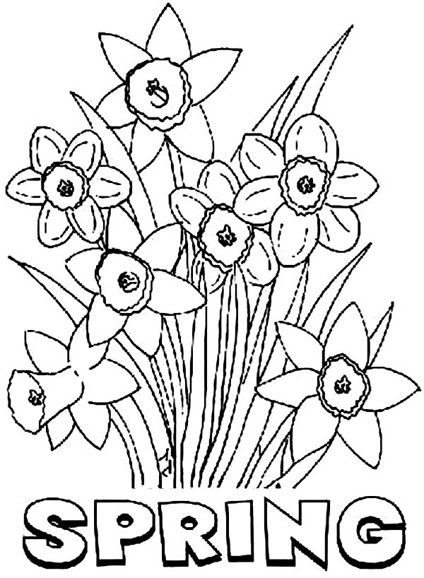 Coloring pages spring season nature printable coloring free flowers drawing harcourt math grade