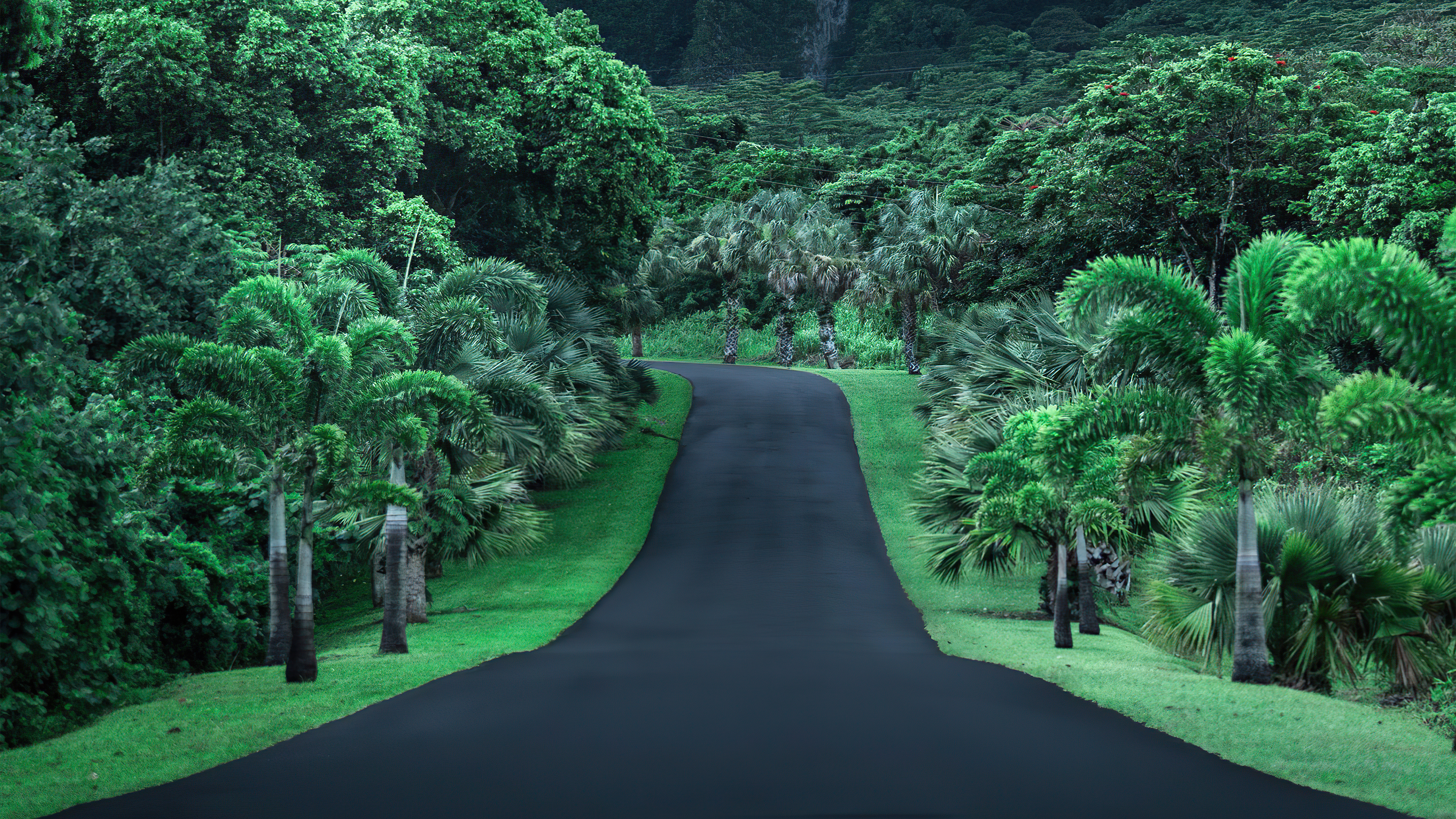 Green road nature k hd nature k wallpapers images backgrounds photos and pictures