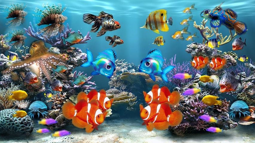 Free nemo clownfish images