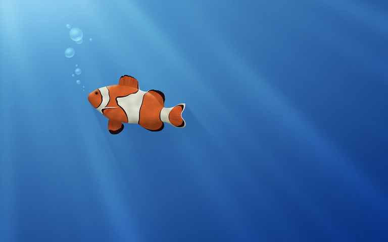 Nemo fish wallpaper