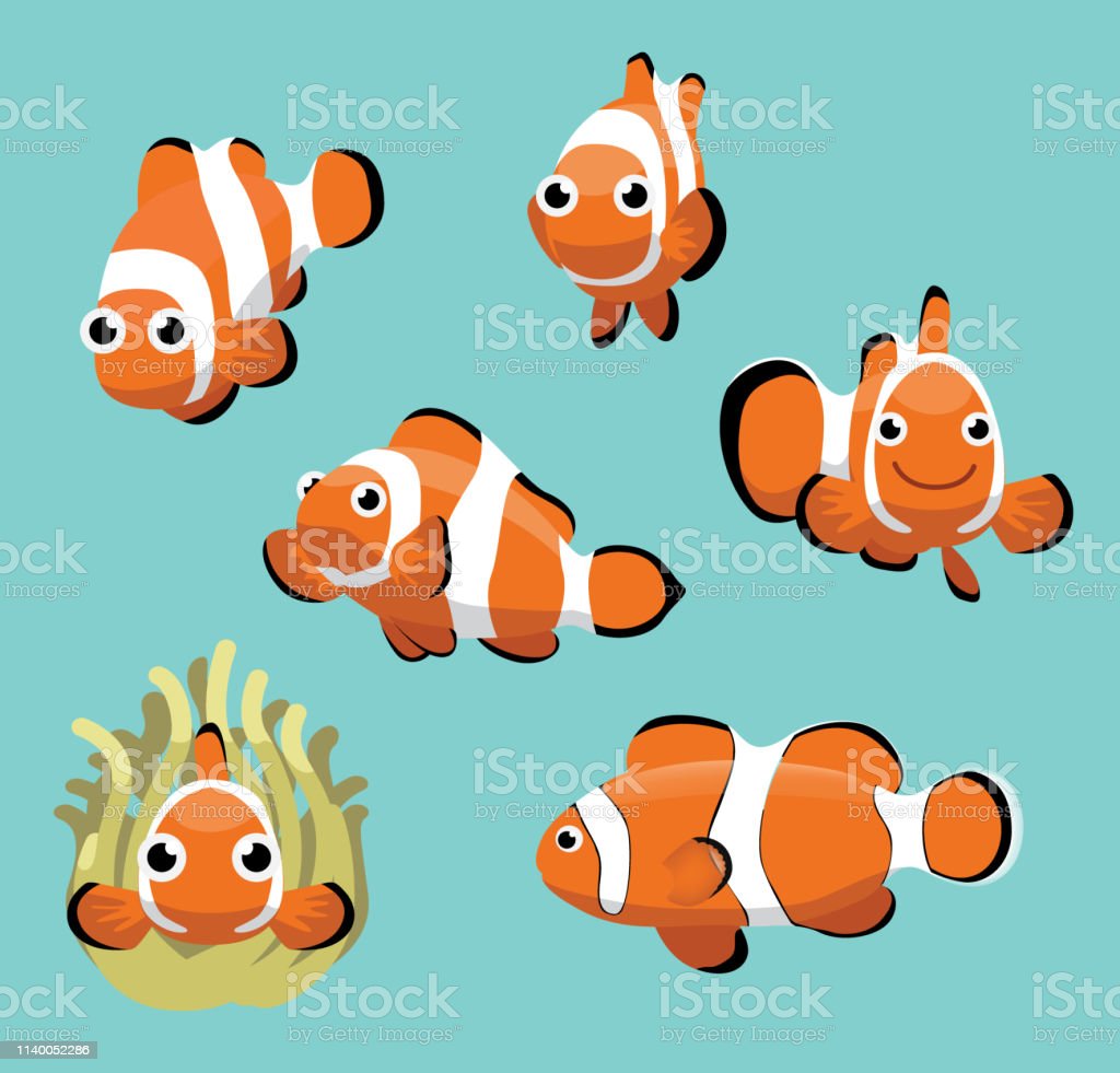 Cute clownfish various poses cartoon vector stock illustration