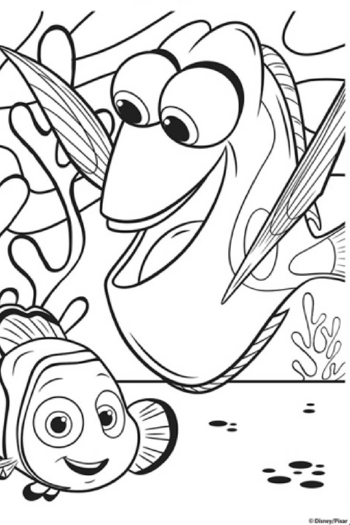 Free disney finding dory coloring pages printables