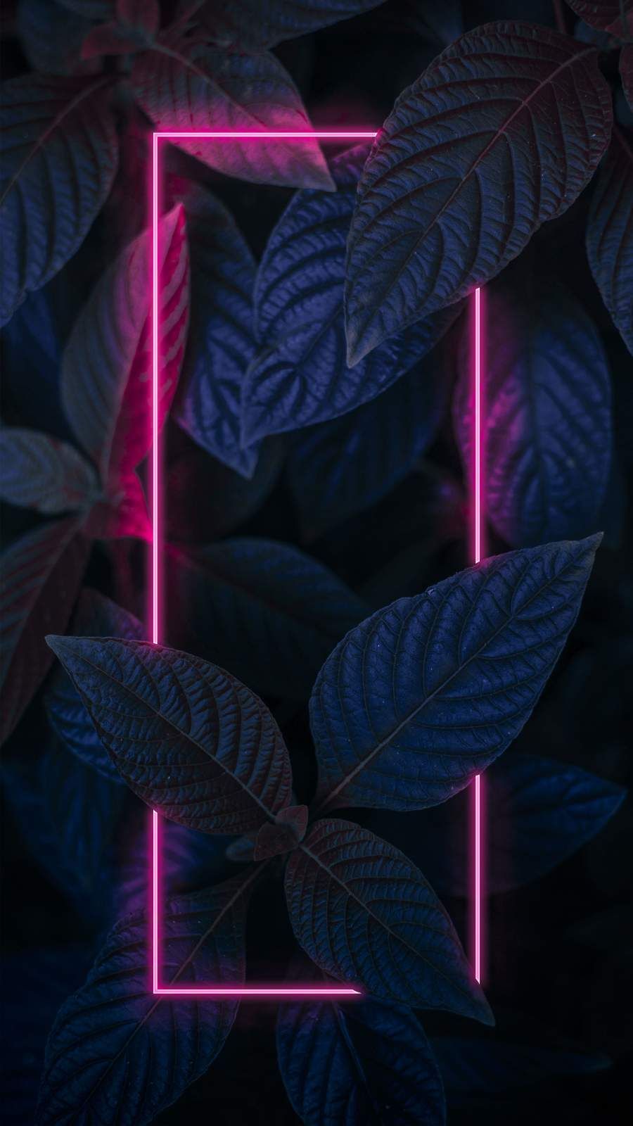 Iphone wallpapers for iphone iphone iphone x iphone xr iphone plus high quality wallpapers ipâ galaxy wallpaper neon wallpaper neon light wallpaper