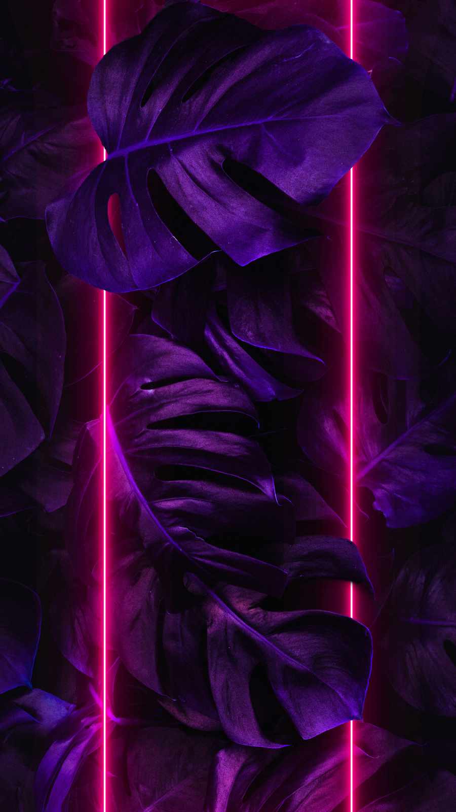 Neon dark foliage iphone wallpaper