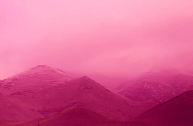 Pink desktop wallpaper images