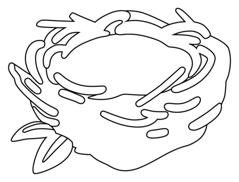 Bird nest coloring pages free coloring pages