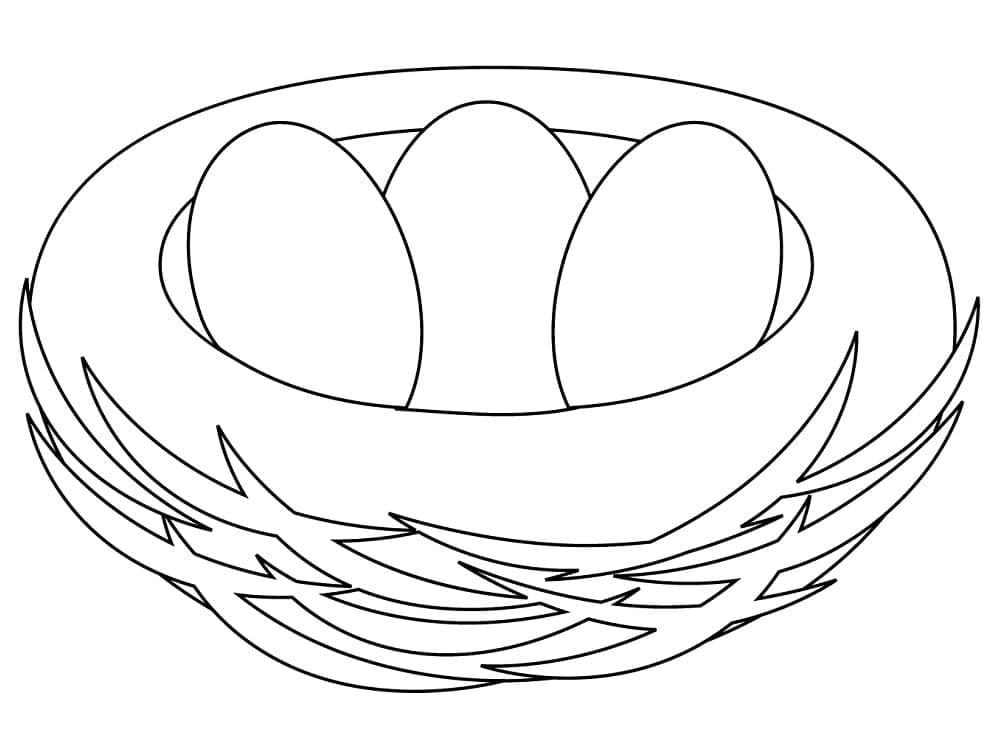 Print bird nest coloring page