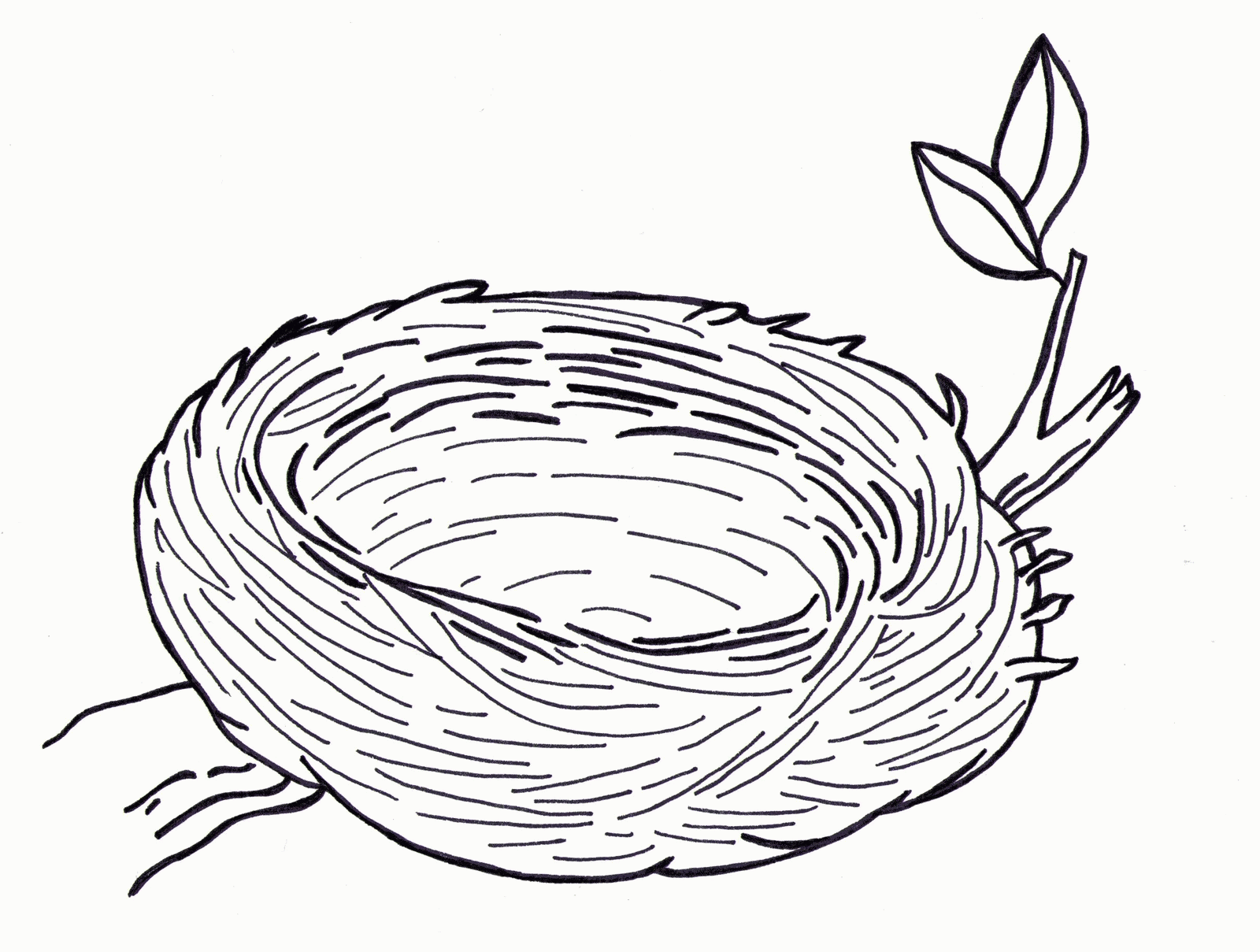 Birds nest coloring pages printable