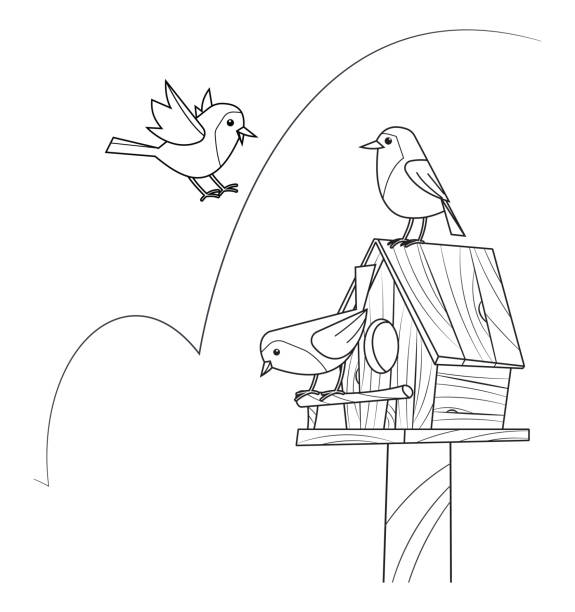 Bird coloring page stock photos pictures royalty