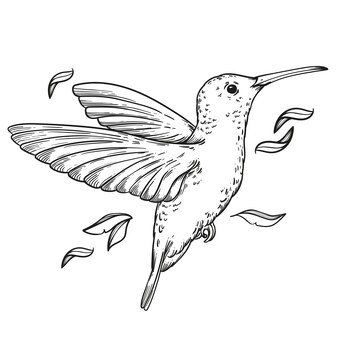 Page bird nest coloring pages vectors illustrations for free download