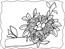 Nest coloring pages and printable activities