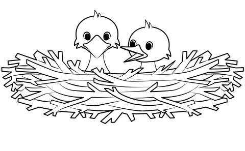 Bird nest coloring page free printable coloring pages