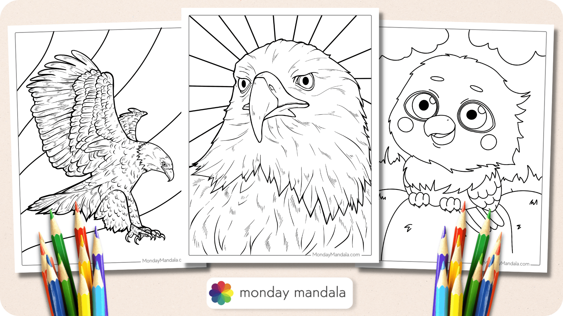 Bald eagle coloring pages free pdf printables