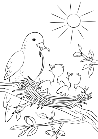 Mother bird feeding chicks coloring page free printable coloring pages