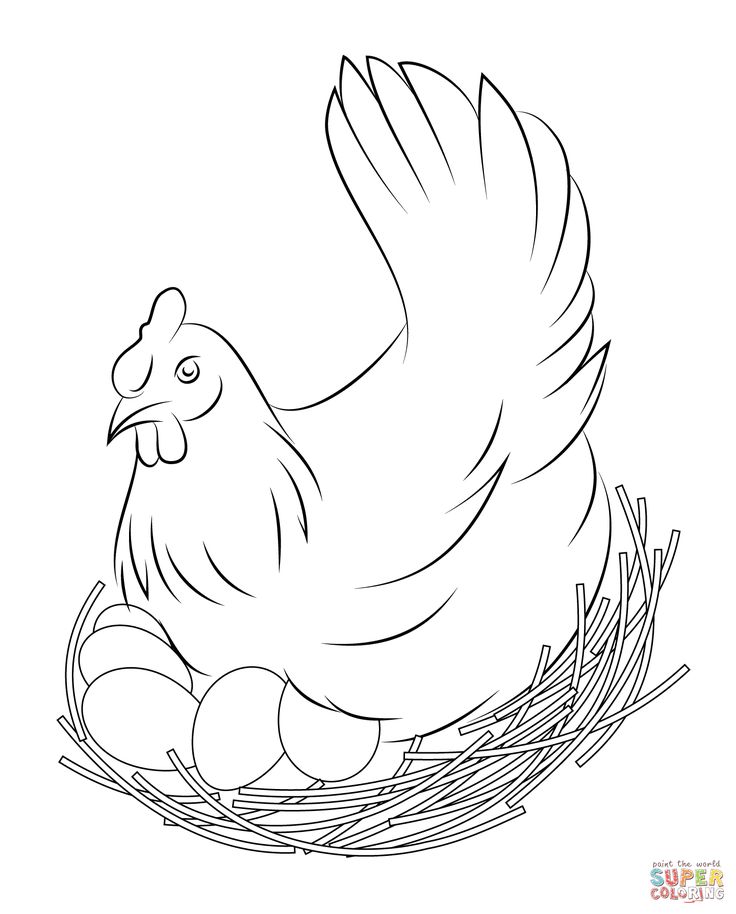 Chicken coloring pages free coloring pages bird coloring pages chicken coloring pages chicken coloring