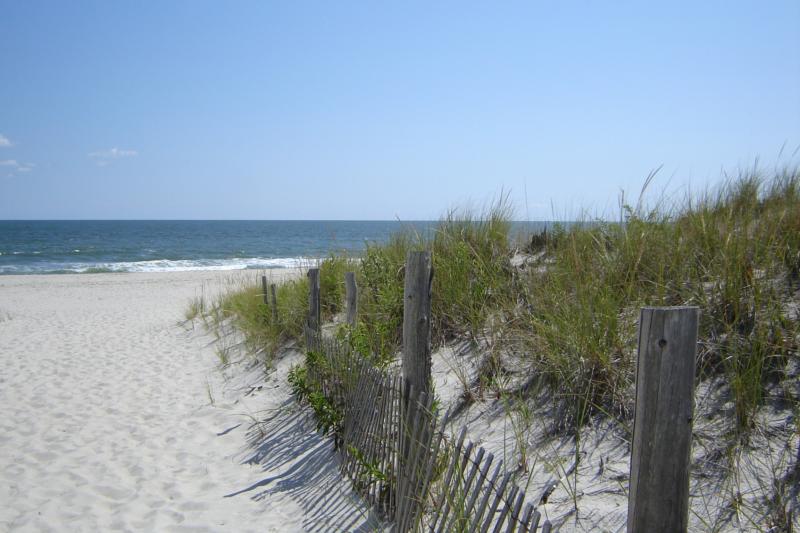 Whats your favorite beach at the jersey shore