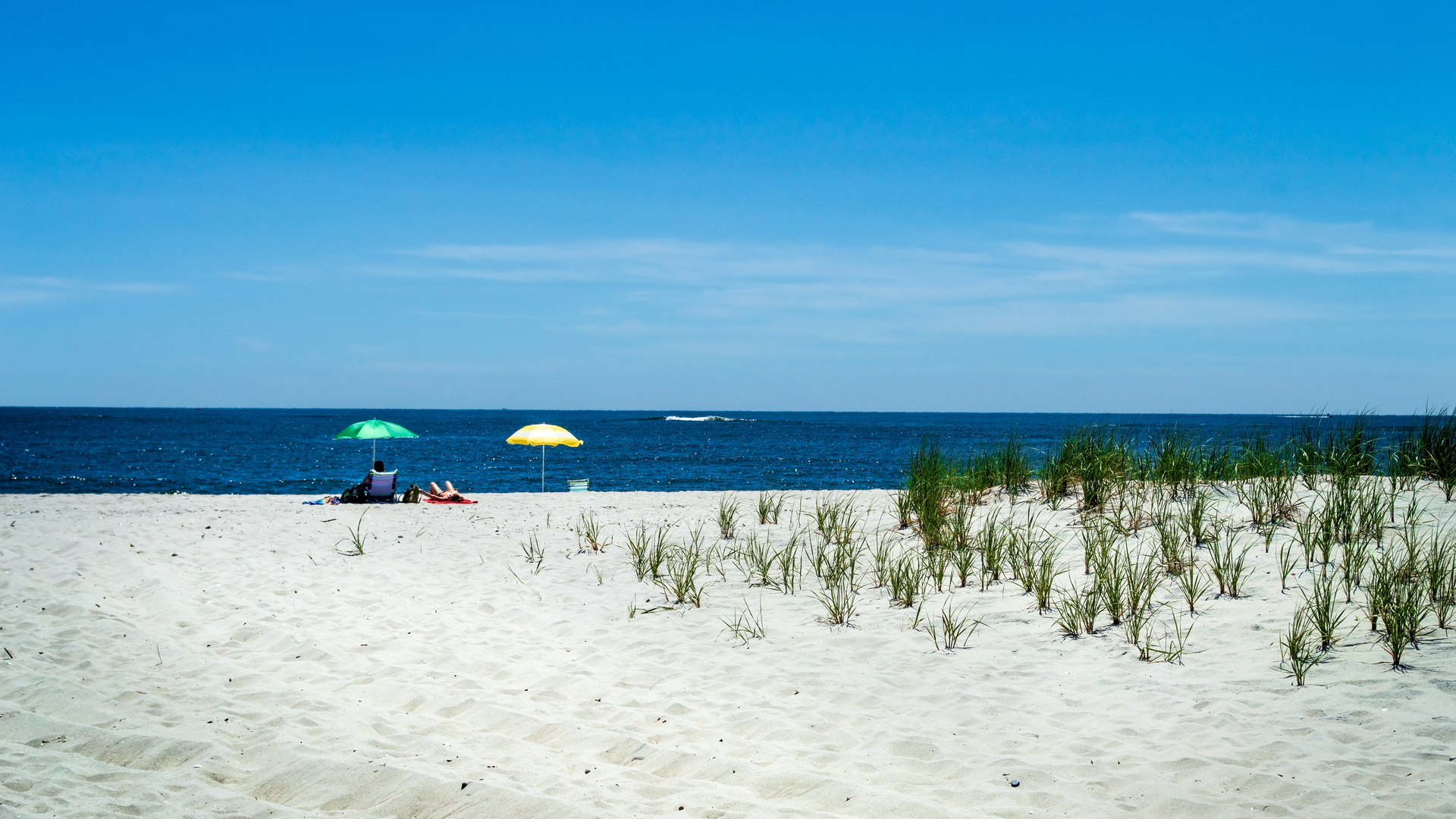 The best new jersey beaches to visit this summer
