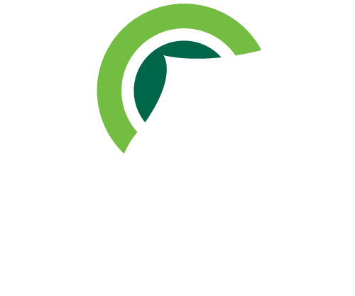 Holiday parks new zealand plan your holiday park adventure