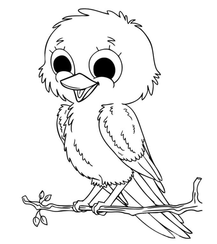 Top free printable bird coloring pages online
