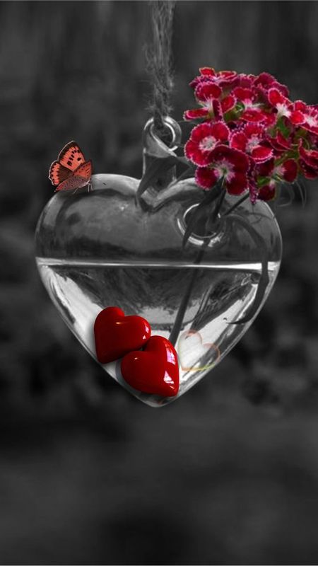 Beautiful heart beautiful wallpaper download