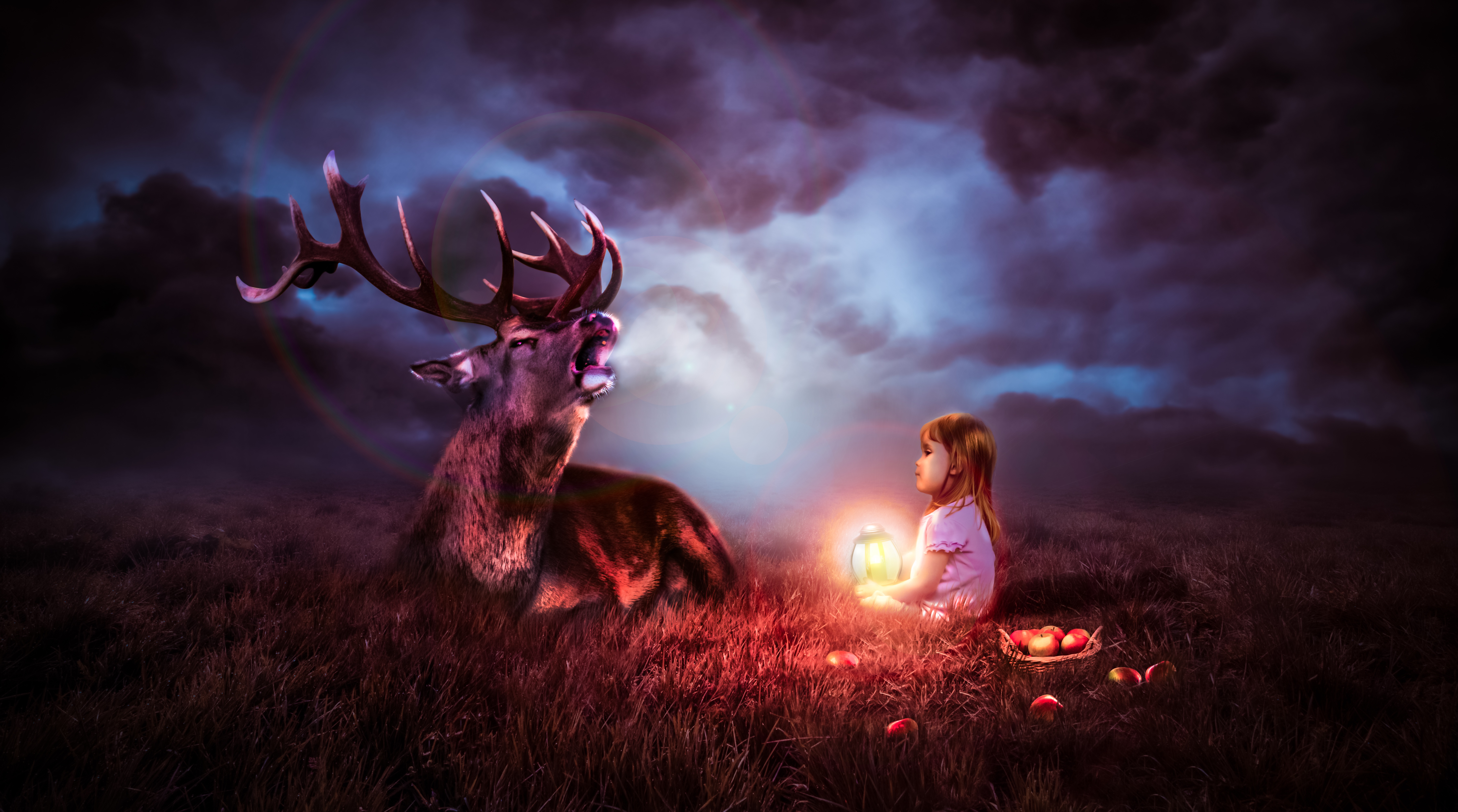 Night sky deer fantasy k hd artist k wallpapers images backgrounds photos and pictures