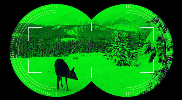 Night vision binocular scope view deer in green snow mountain background stock photo