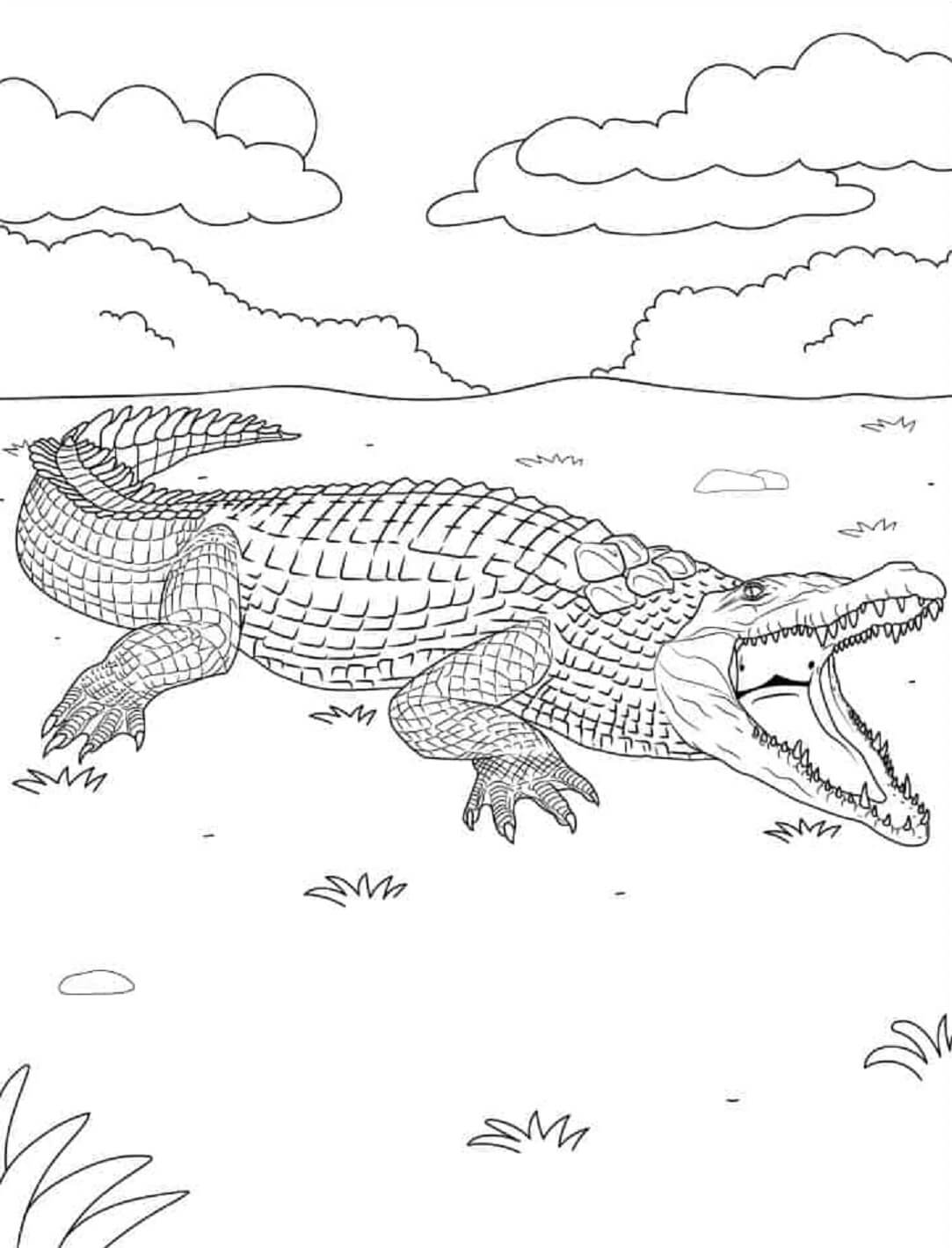Normal crocodile mandala coloring page