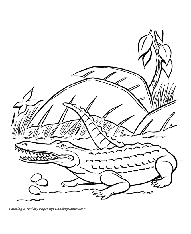 Dinosaur coloring pages printable crocodile coloring page sheet and kids activity page