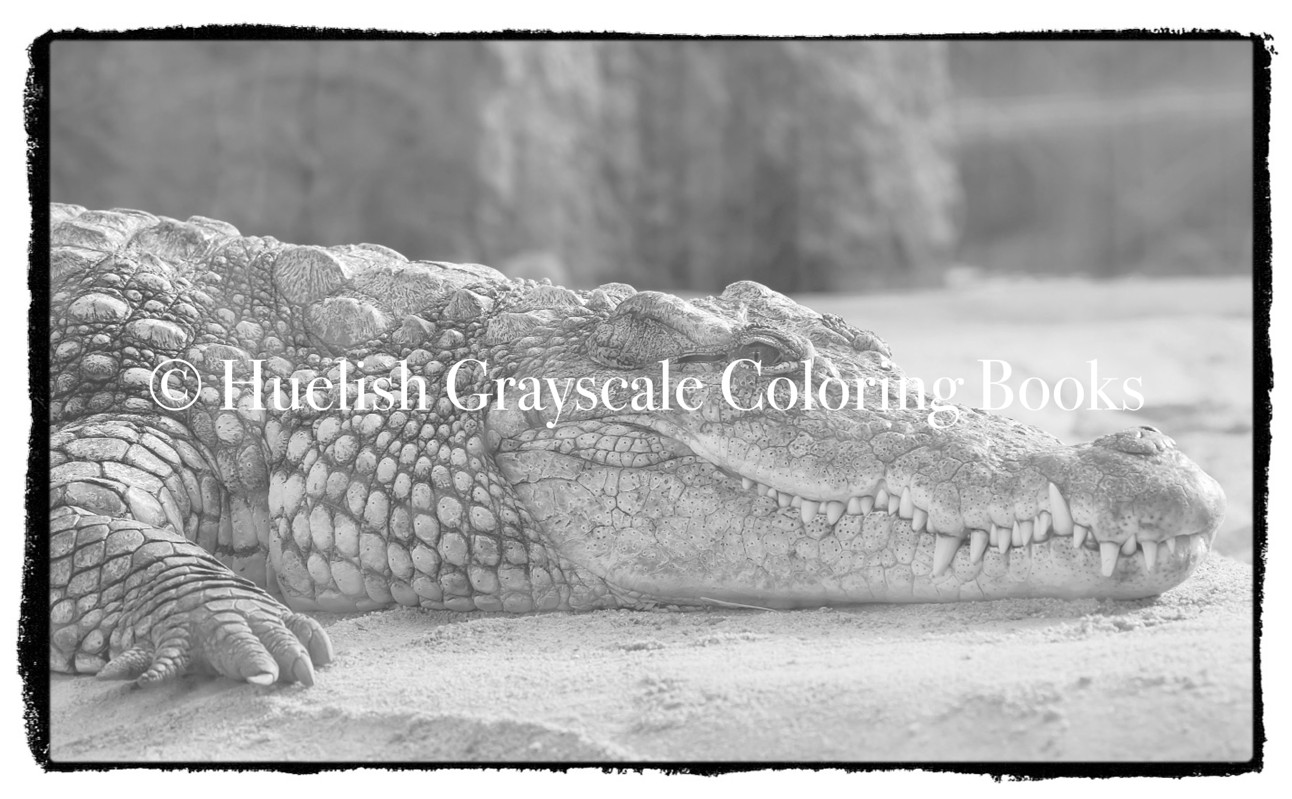 Downloadable grayscale coloring page crocodile from beautiful creatures