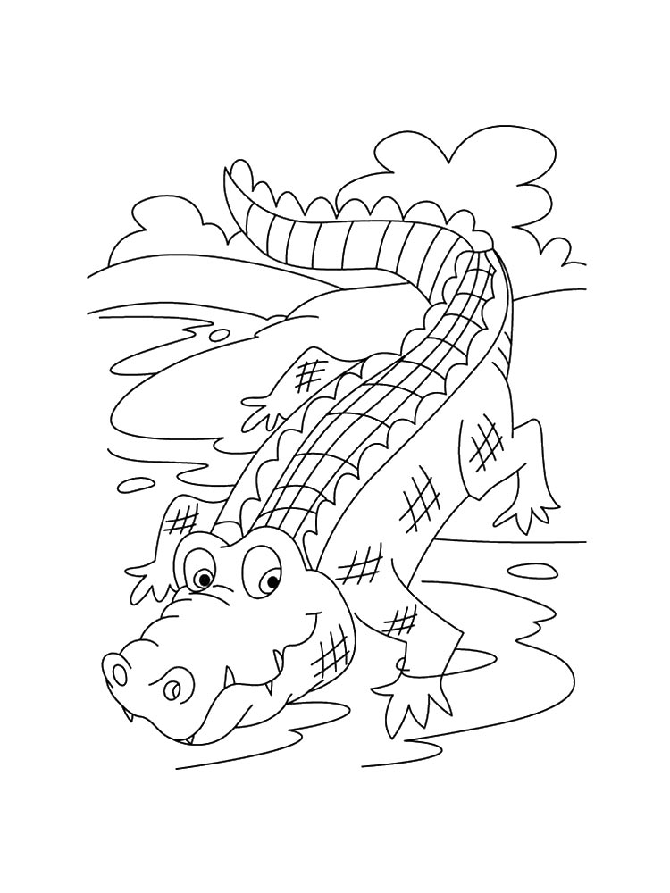 Crocodile creeping to the water coloring page