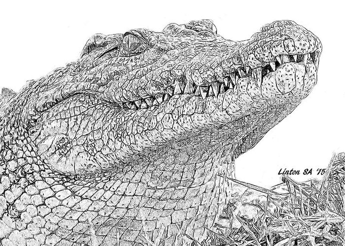 Nile crocodile greeting card by larry linton